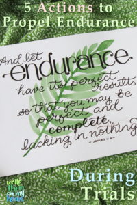 5 Actions to Propel Endurance during Trials