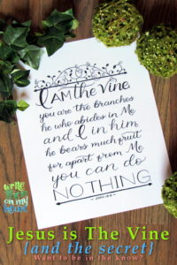Jesus is the Vine (and the secret) Want to be in the know?