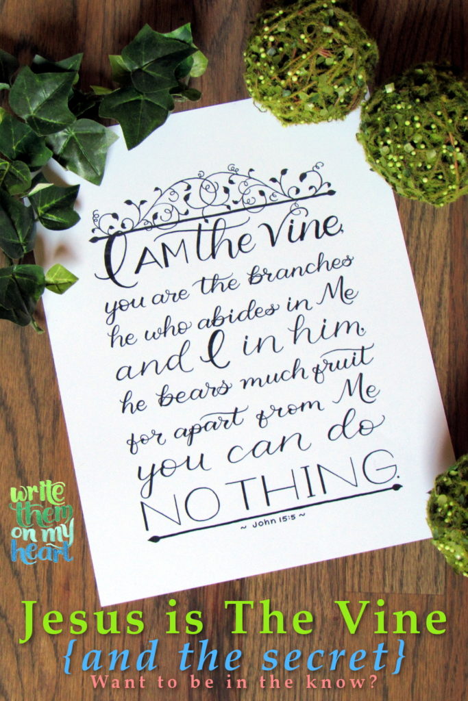 John 15:5 Scripture Art - Jesus is The Vine {and the secret}