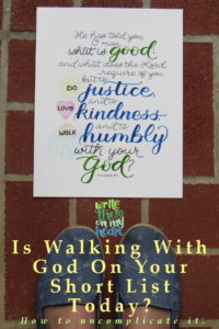 It's not supposed to be about checking off a list of religious things, right? Wait, what about Micah 6:8? Isn't it a short list of ways to please God?