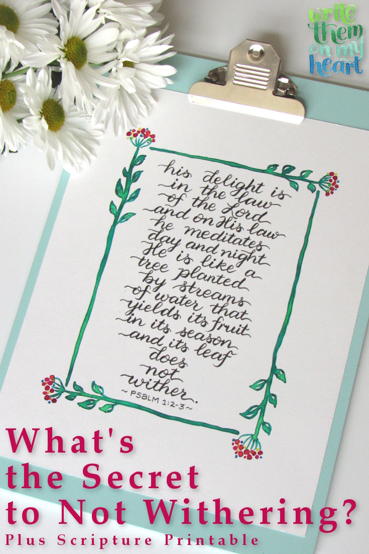 The secret to not withering revealed! Plus Scripture printable by Write Them On My Heart.