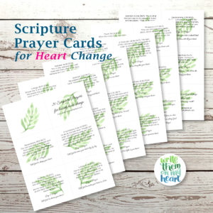 Scripture prayer cards
