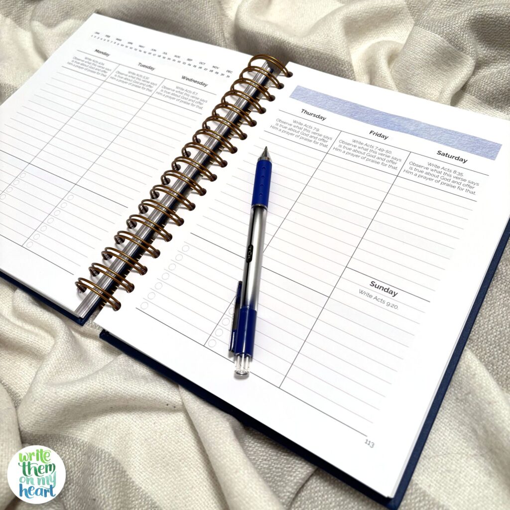 The Write Pursuit Planner Inside